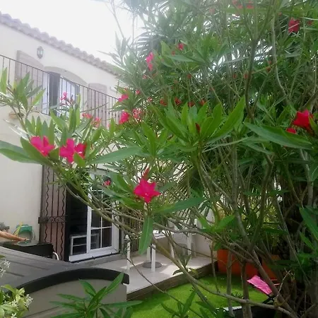 Marina A Aigues Mortes - Gard Exterior foto